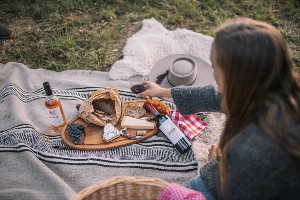 plateau fromage vin rouge