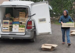 Bandes réfléchissantes et catadioptres à l'arrière d'un utilitaire de livraison garé de nuit